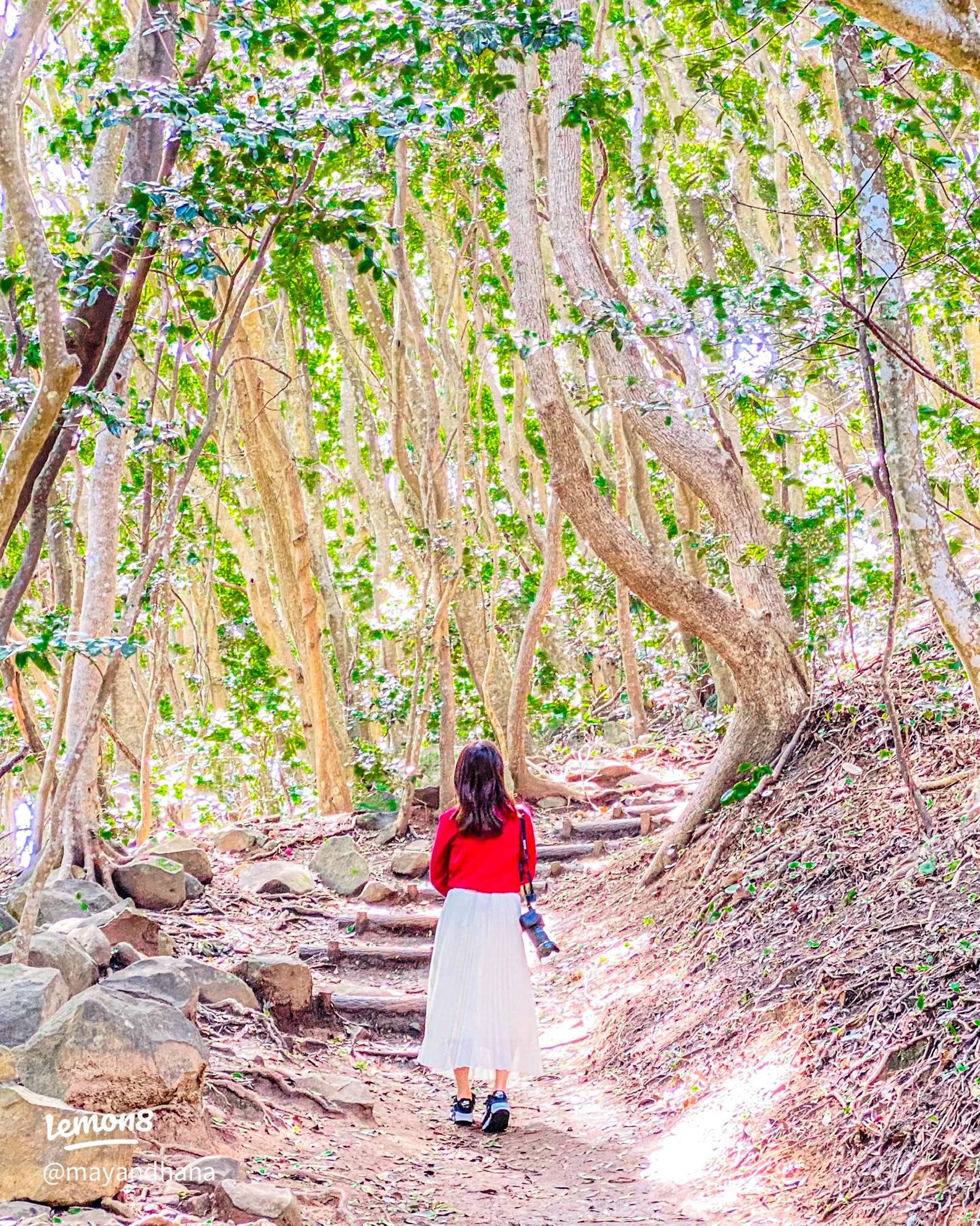 🌳 이토시마 토토로의 숲(이토시마노토토로노모리) 이미지 8